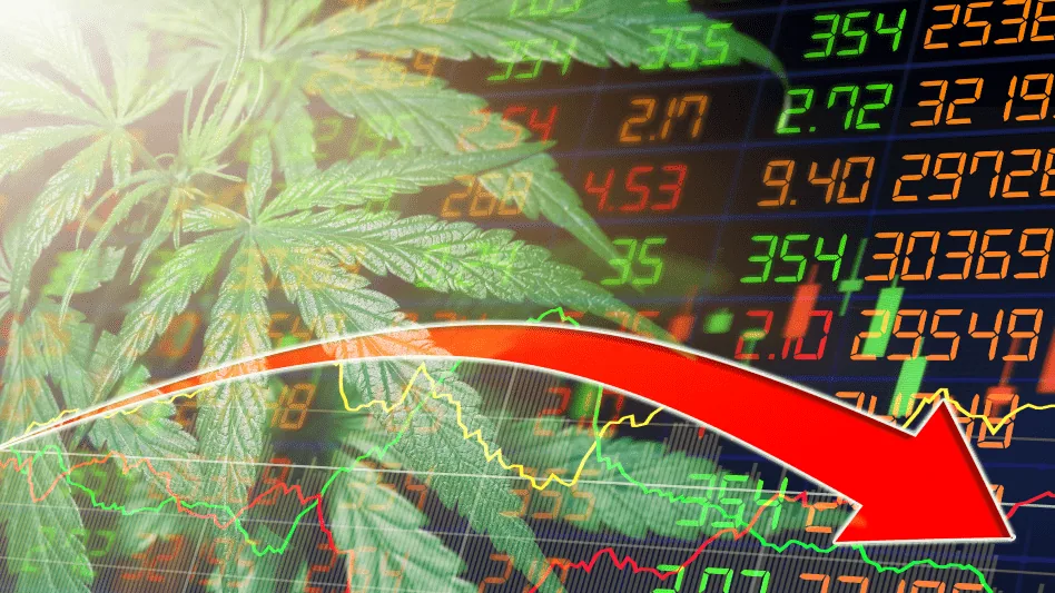 El gran fracaso de las empresas de Cannabis