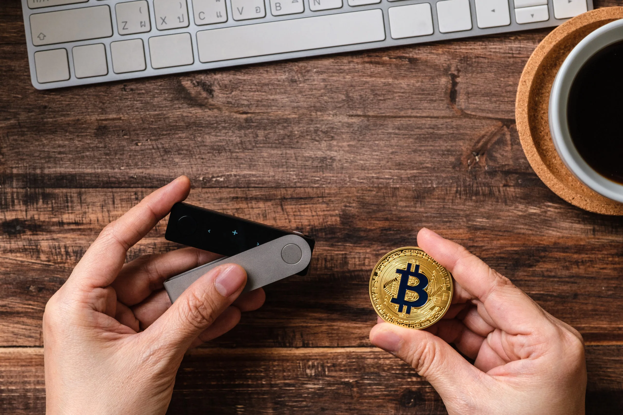 Elegir Billetera Segura para Tus Criptomonedas