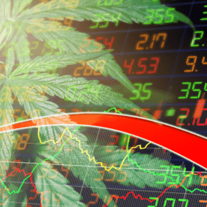 El gran fracaso de las empresas de Cannabis