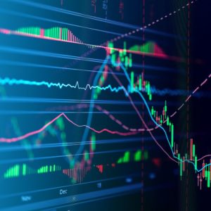 Acciones vs Bonos: Una Comparación Fundamental para Inversores Principiantes